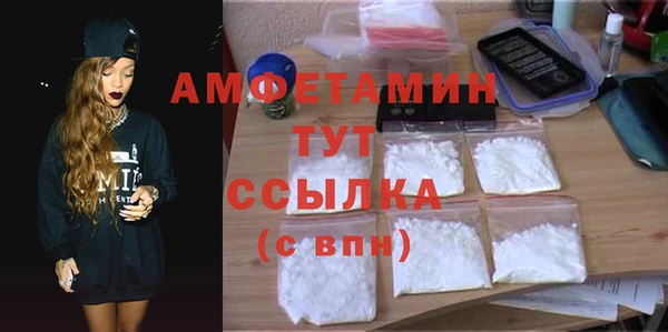 индика Вяземский