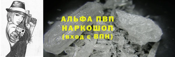 индика Вяземский