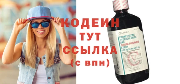 индика Вяземский