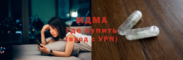 индика Вяземский
