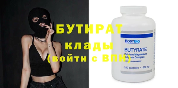 индика Вяземский