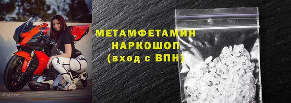 индика Вяземский