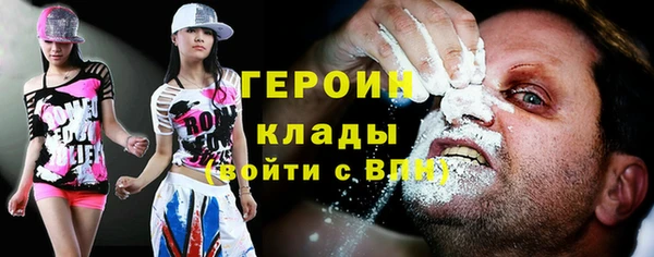 индика Вяземский