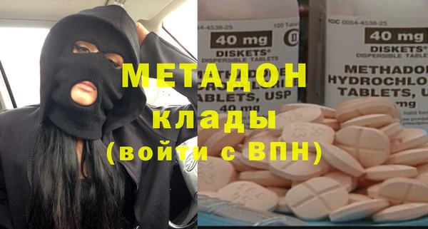 индика Вяземский