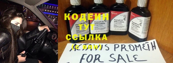 индика Вяземский