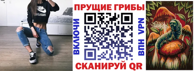 даркнет сайт  Абакан  Псилоцибиновые грибы Psilocybine cubensis 